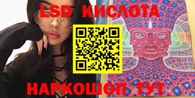 стаф Гай