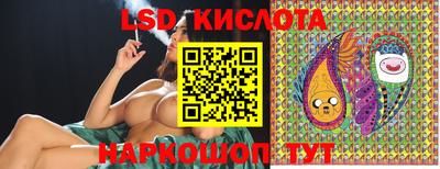 стаф Гай