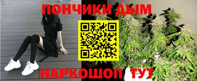 a pvp Гатчина