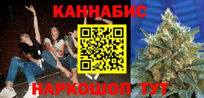 стаф Гай