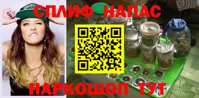 стаф Гай