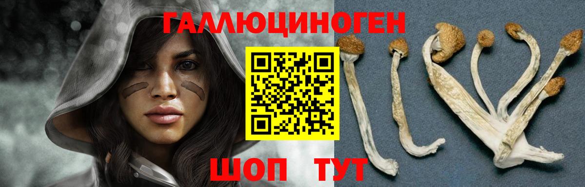Псилоцибиновые грибы GOLDEN TEACHER  купить   Вход с VPN  Минусинск  Галлюциногенные грибы прущие грибы 